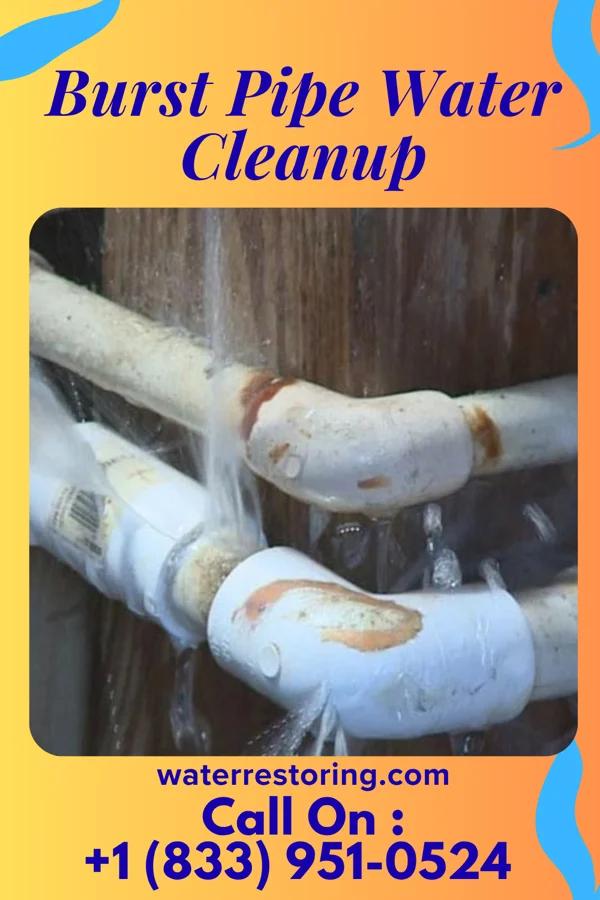 Burst Pipe Water Cleanup in Spencerville, OH