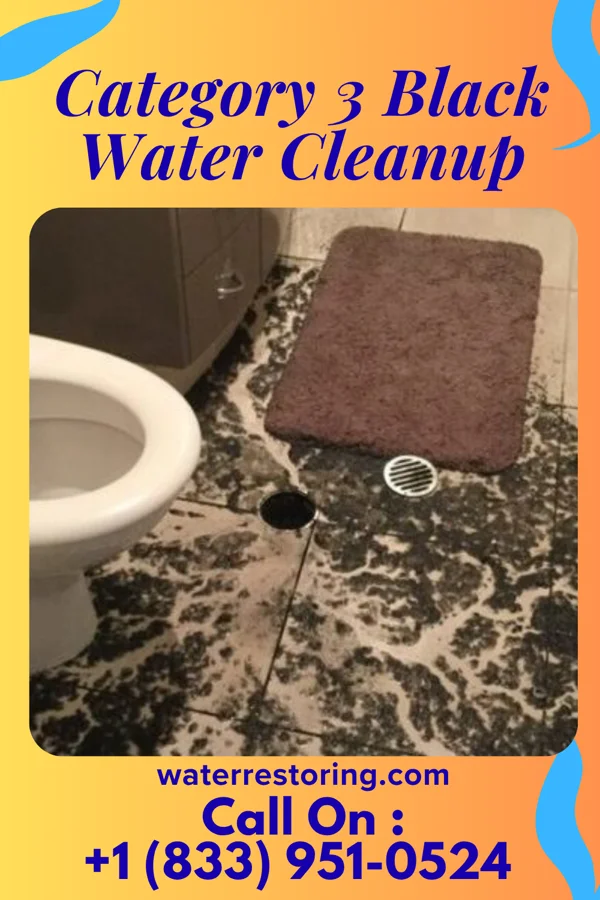 Category 3 Black Water Cleanup in Spencerville, OH