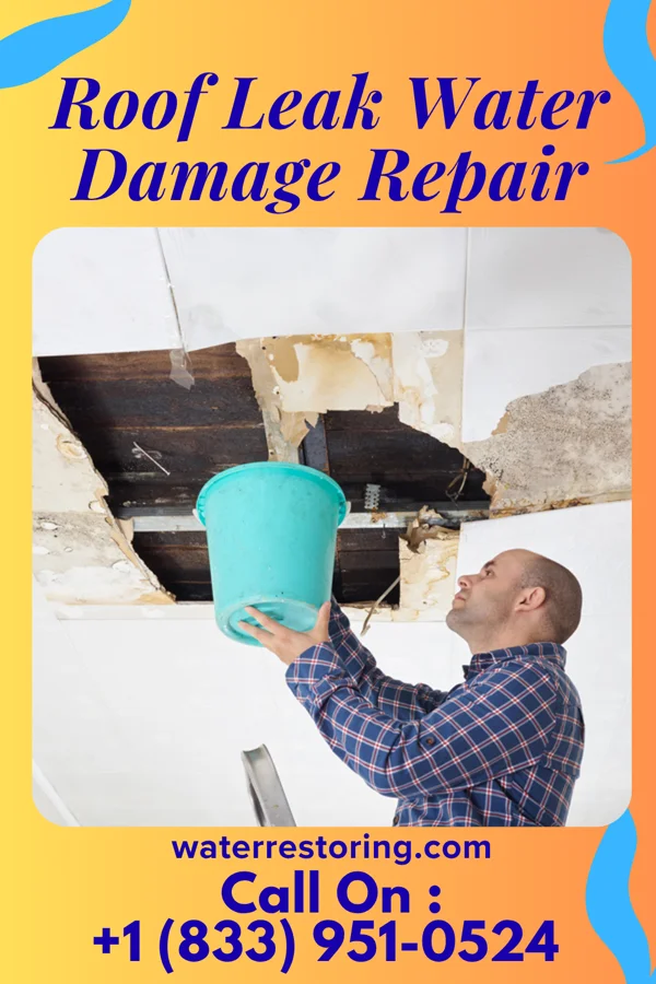 Roof Leak Water Damage Repair in Spencerville, OH