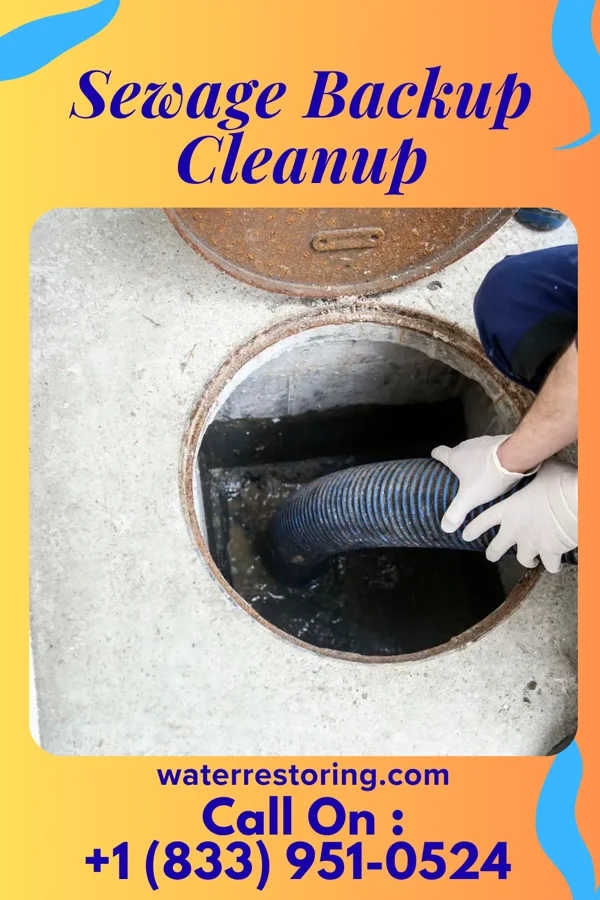 Sewage Backup Cleanup in Spencerville, OH