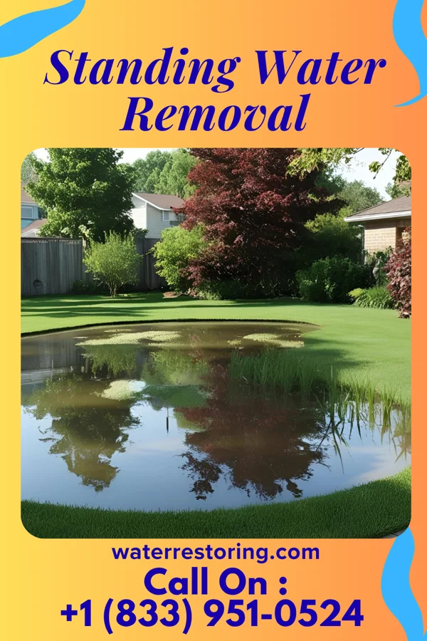Standing Water Removal in Spencerville, OH